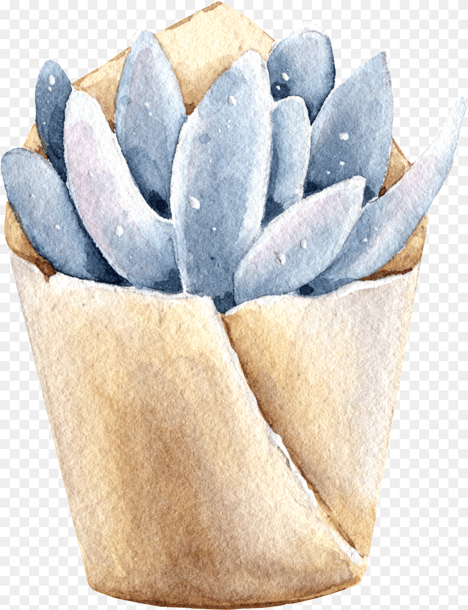 Succulents Hand Painted Watercolors Of Transparent Paper, Mineral, Crystal, Flower, Plant Free Png Download
