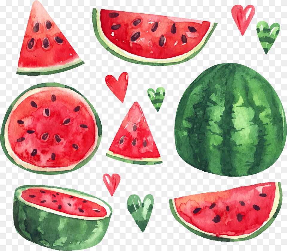 Download Summer Citrullus Ice Euclidean Vector Watermelon Watermelon Watercolor Clipart, Food, Fruit, Plant, Produce Free Png