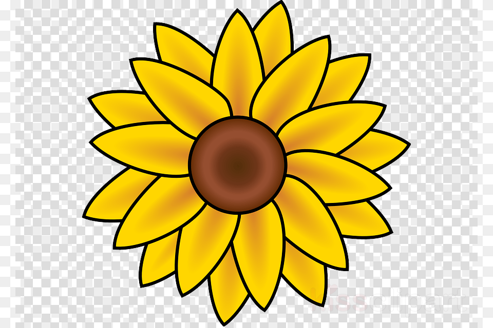 Download Sunflower August Clipart Drawing Clip Art Drawing, Daisy, Flower, Plant Png