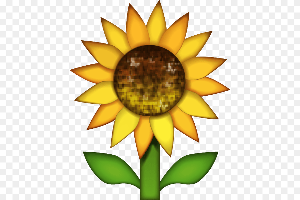 Download Sunflower Emoji Image In Sunflower Emoji, Flower, Plant, Animal, Fish Free Transparent Png