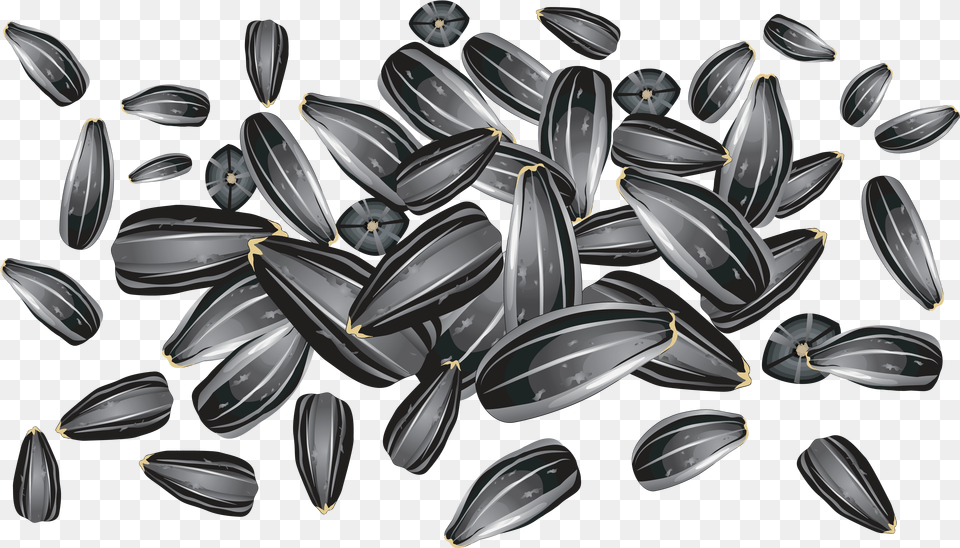 Download Sunflower Seeds For Sunflower Seeds Vector, Food, Produce, Grain, Seed Free Transparent Png