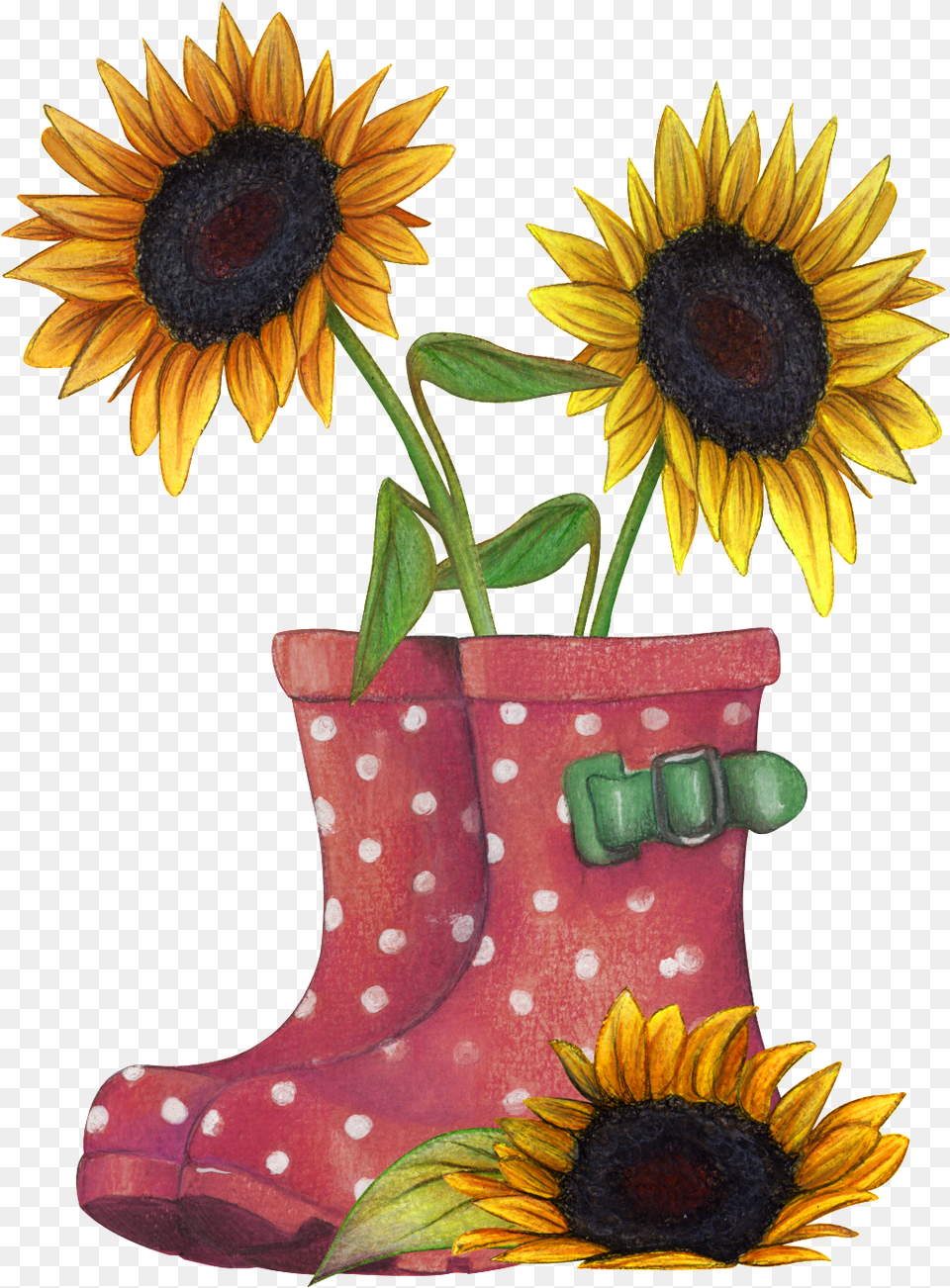 Download Sunflower Placed In Rain Boots Sunflowers Rain Boots, Flower, Plant, Flower Arrangement Free Transparent Png