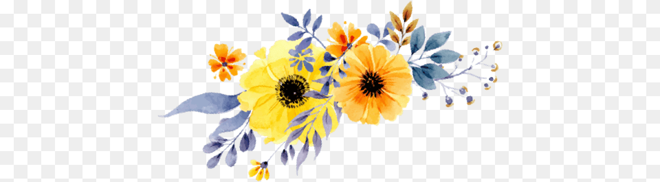 Sunflowers High Re Clip Watercolor Transparent Sunflowers, Anemone, Plant, Pattern, Graphics Free Png Download