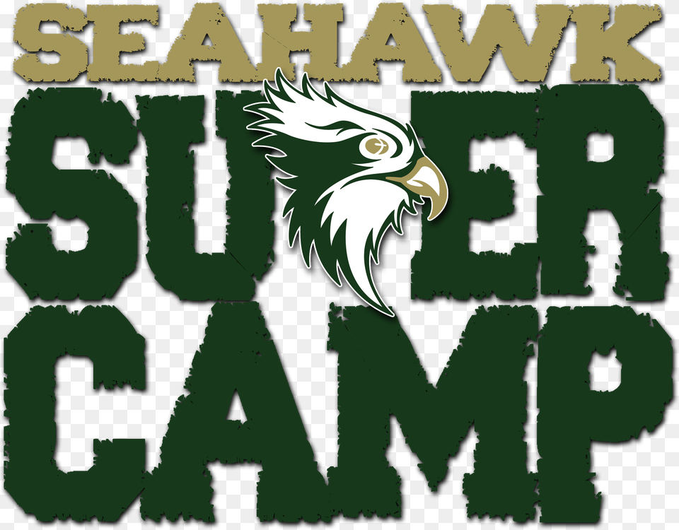 Download Supercamp Logo W Seahawk Rev Bald Eagle, Animal, Beak, Bird, Person Free Png