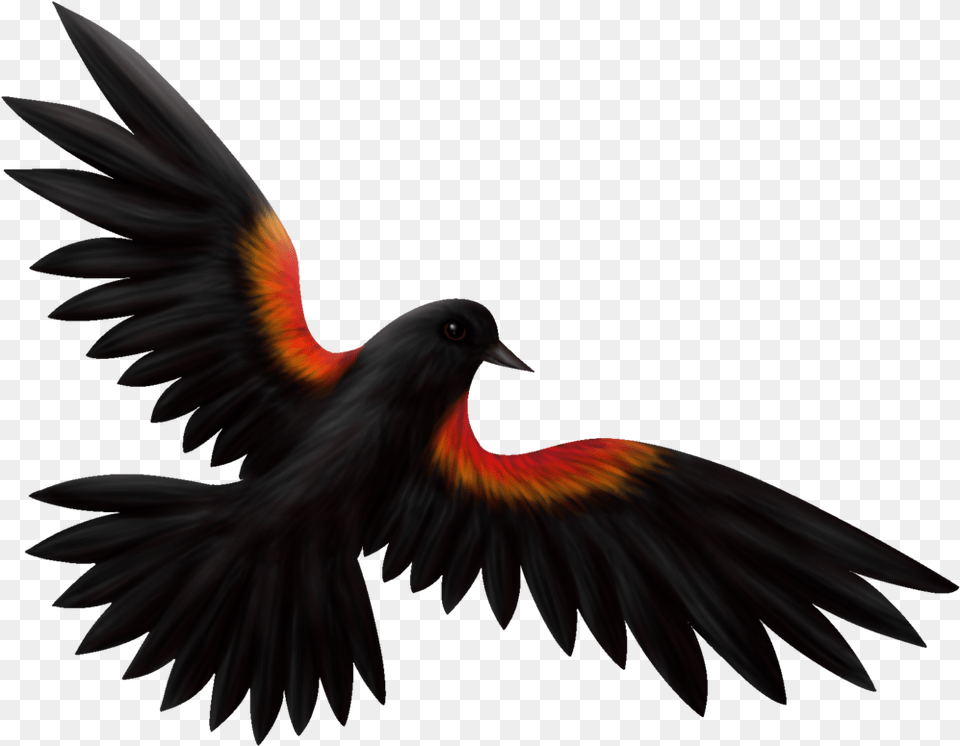Download Svg Library Download Clip Art At Clker Com Red Winged Blackbird Clipart, Animal, Bird Png Image