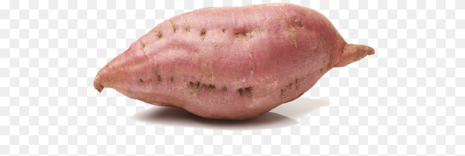 Download Sweet Potato Image Sweet Potato, Food, Plant, Produce, Sweet Potato Free Transparent Png
