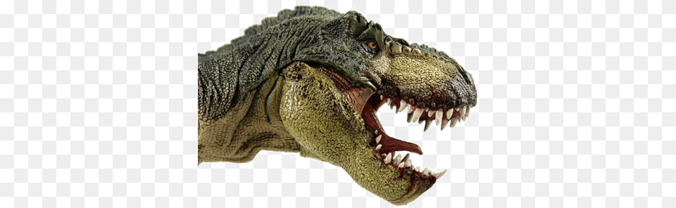 Download T Rex File Prehistoric Animals, Animal, Dinosaur, Reptile, T-rex Free Png