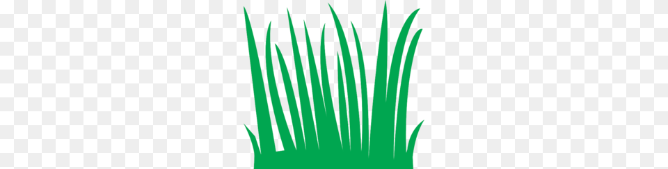 Download Tall Grass Clipart Clip Art, Green, Plant, Aloe Png Image