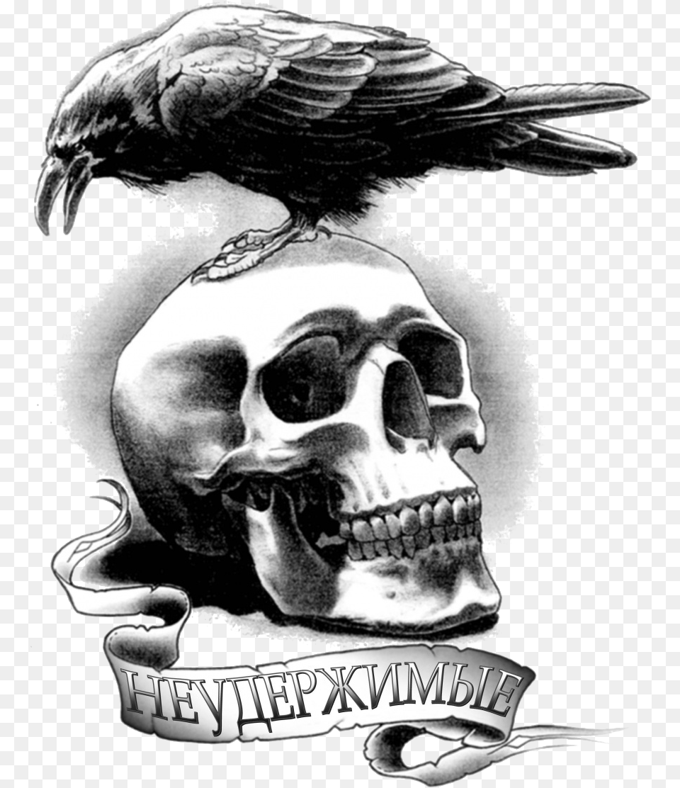 Download Tattoo Barney Artist Youtube Crow On Skull Tattoo, Animal, Beak, Bird, Adult Free Png