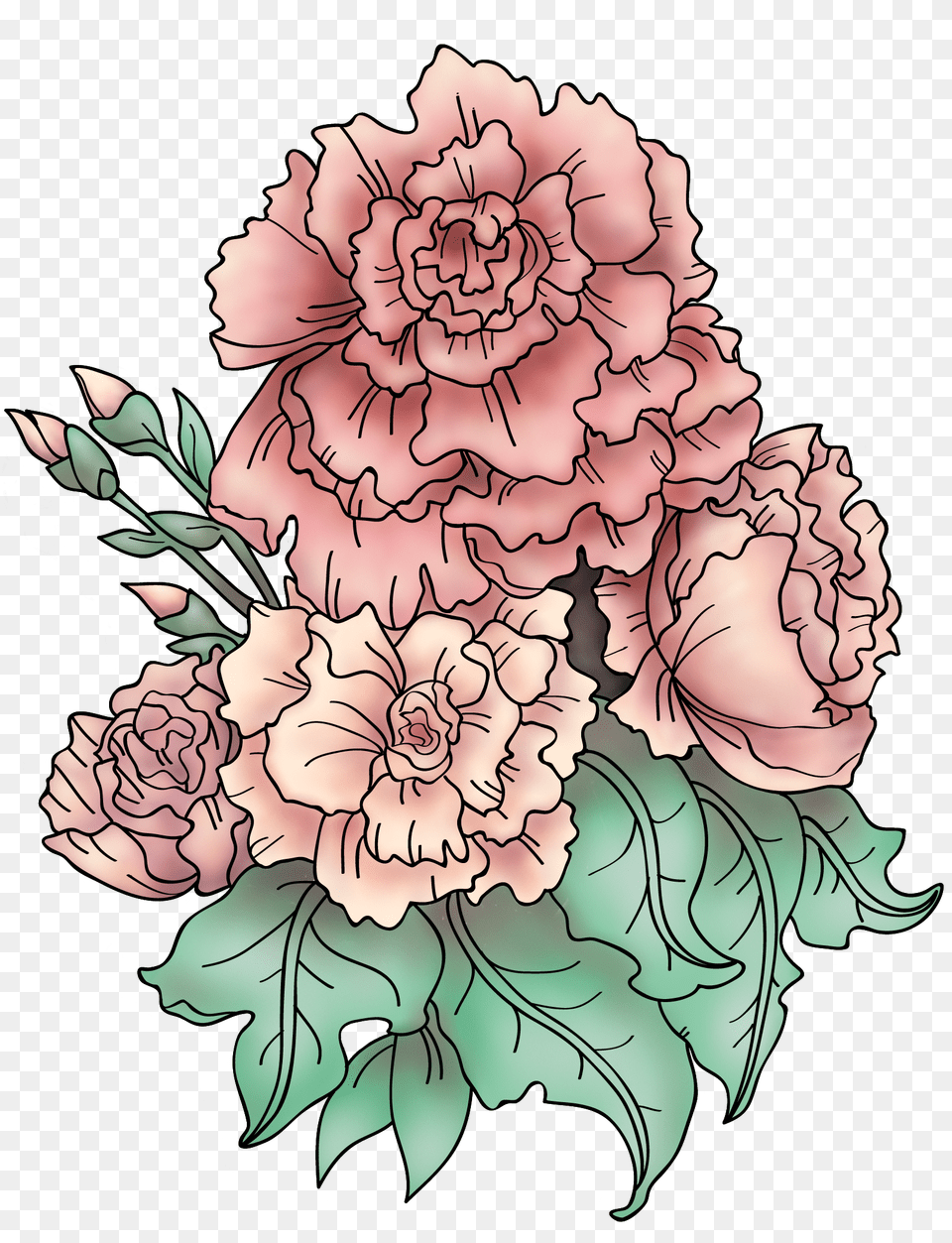Download Tattoo Design Based Carnation Flower Carnation Tattoo Meaning, Plant, Baby, Person Free Png