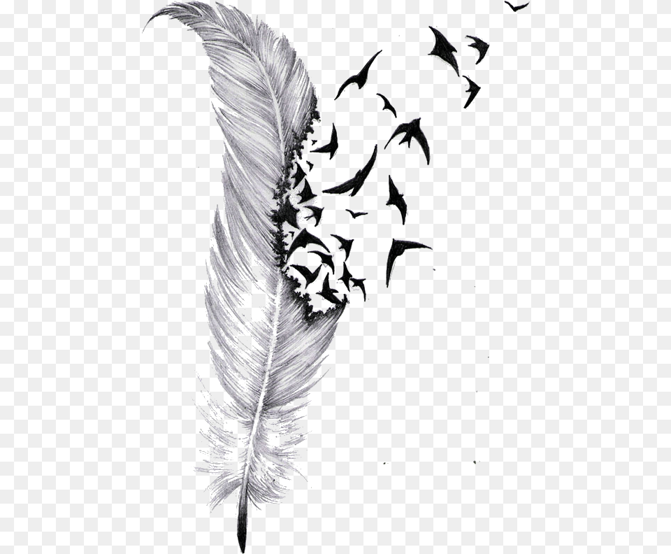 Download Tattoo Feather Drawing Bird Feather Turning Into Birds Tattoo, Art, Adult, Bride, Female Free Transparent Png