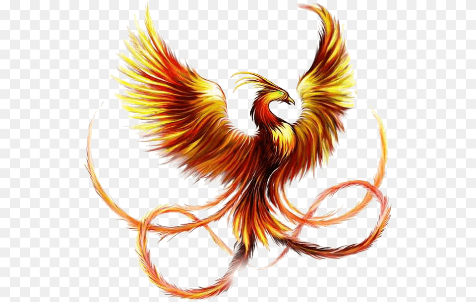 Download Tattoo Sleeve Phoenix Fenghuang Ink Firebird Hq Pheonix Tattoo, Animal, Bird Png