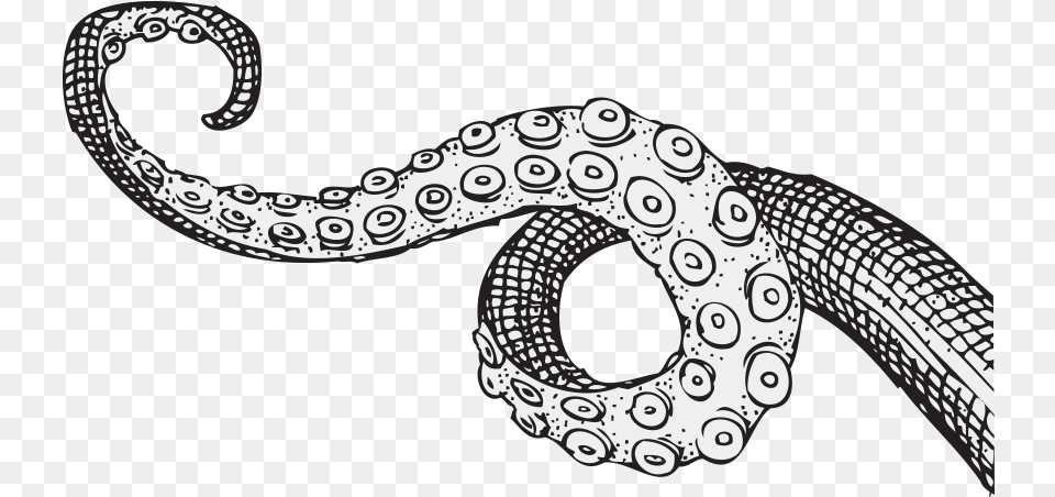 Download Tentacle Tentacle Drawing, Animal, Art, Dinosaur, Reptile Png Image