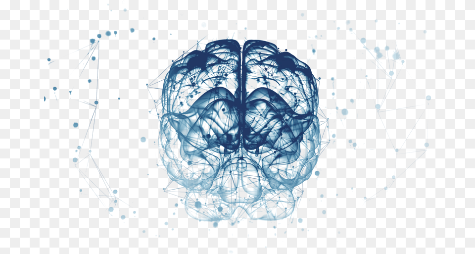 Download The Appliance Of Neuroscience, Network, Art Free Transparent Png