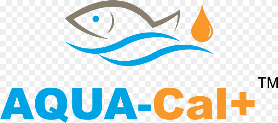 The Brochure, Logo, Animal, Fish, Sea Life Free Png Download