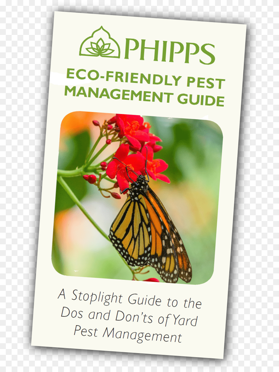 Download The Guide Phipps Conservatory, Flower, Petal, Plant, Animal Png Image