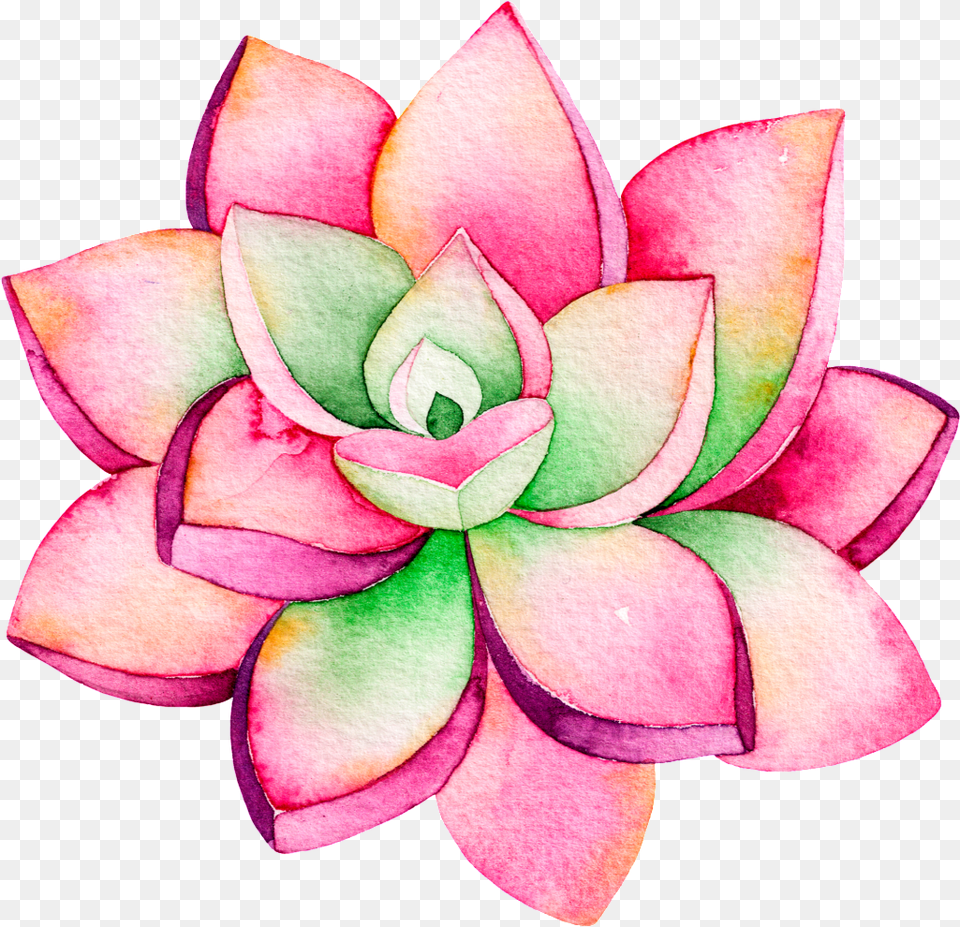 Download This Backgrounds Is Pink Fashion Lotus Cartoon Transparent Background, Dahlia, Flower, Petal, Plant Free Png