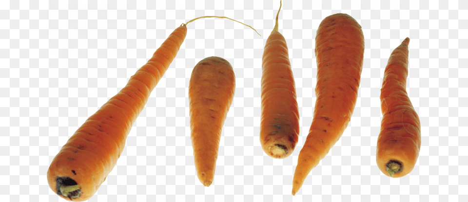 Download This High Resolution Carrot Picture Carrot, Food, Plant, Produce, Vegetable Free Png