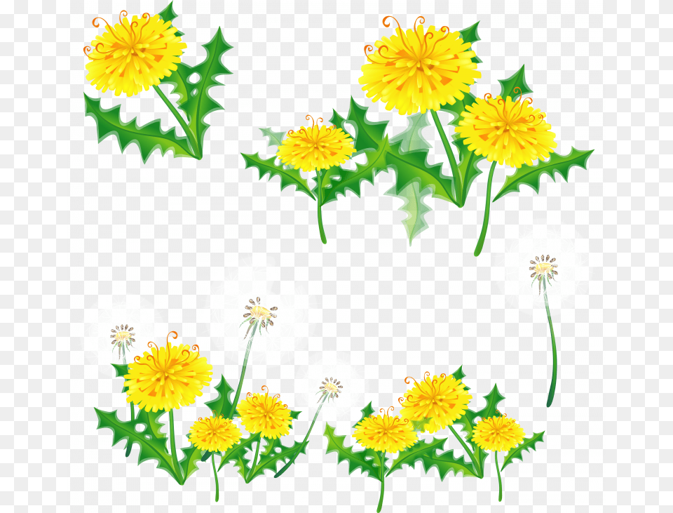 Download This High Resolution Dandelion Transparent Border Transparent Tumblr Floral, Flower, Plant Png