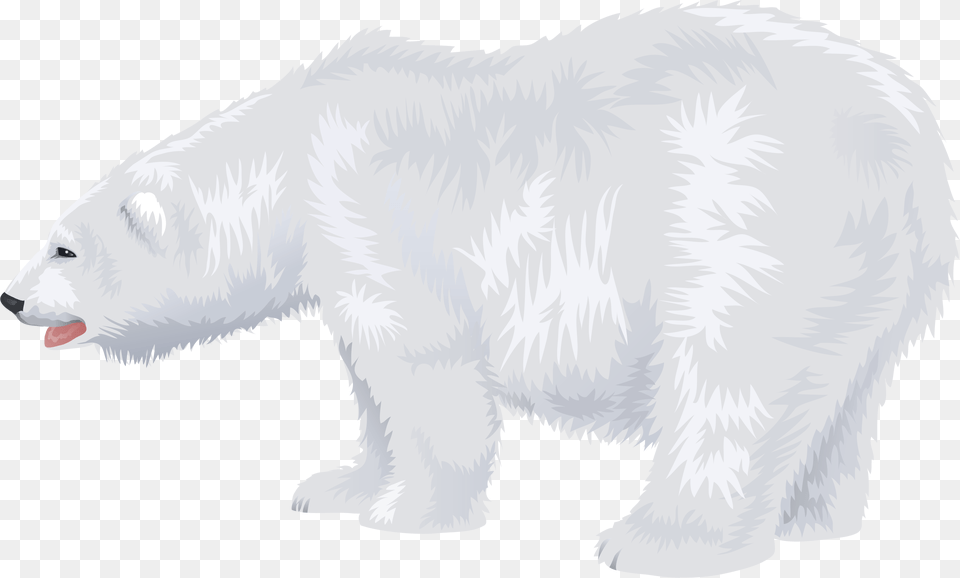 Download This High Resolution Polar Bear Background Clip Art Polar Bear, Animal, Mammal, Bird, Wildlife Free Png