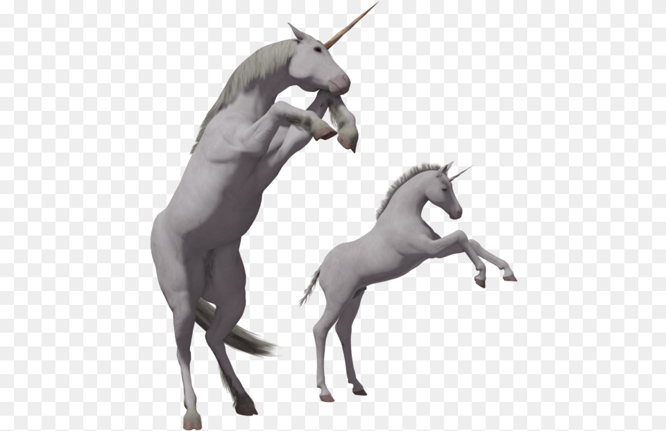 Download This High Resolution Unicorn Icon Unicorn, Animal, Horse, Mammal, Colt Horse Png Image