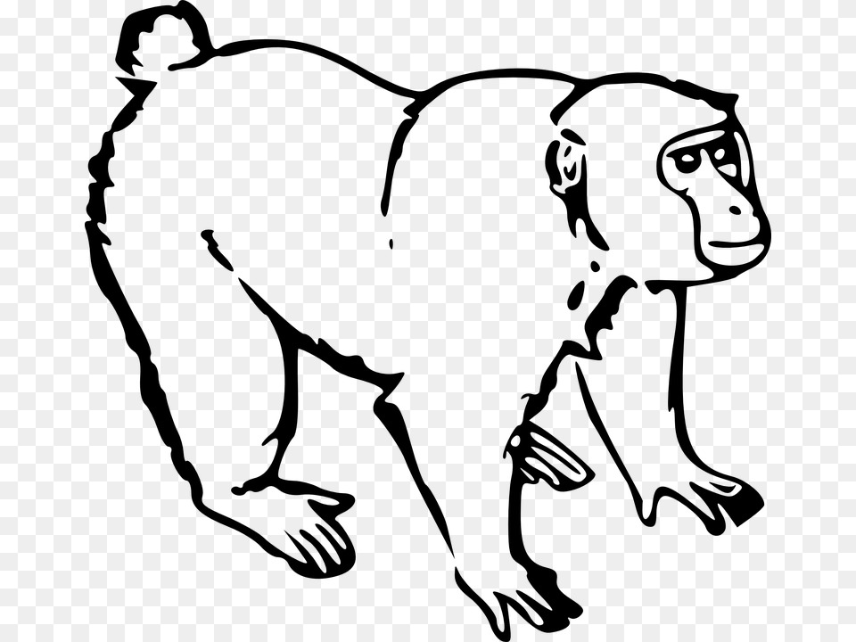Download This Image As Source Monkey Clipart Black And White, Gray Free Transparent Png