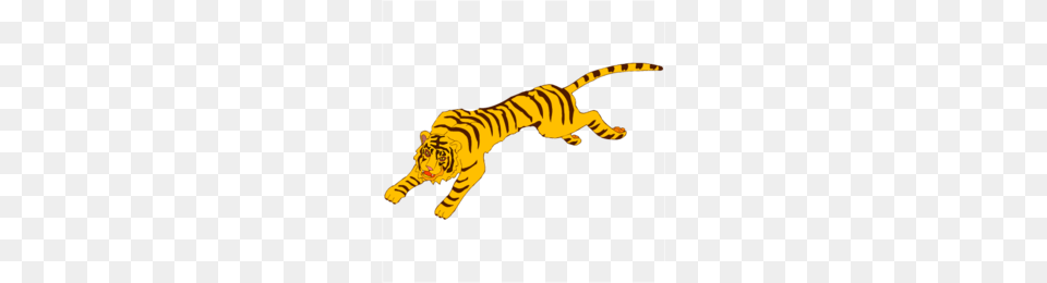 Tiger Running Clipart Tiger Clip Art Tiger, Animal, Mammal, Wildlife Free Png Download