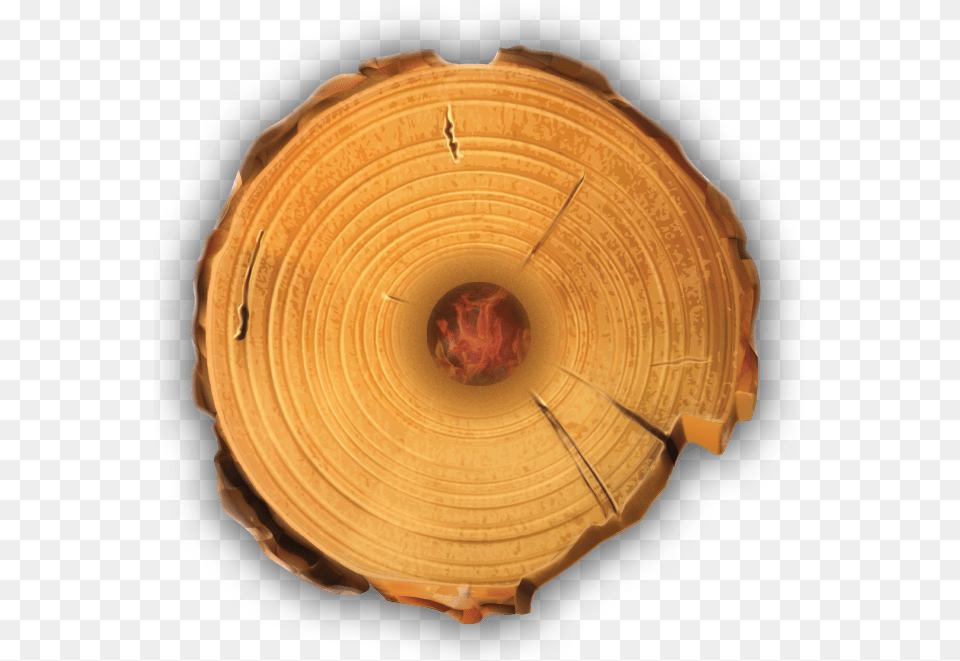 Download Timber Tote Log Top View Tree Stump Full Size Tree Stump Rings, Plant, Wood Free Png