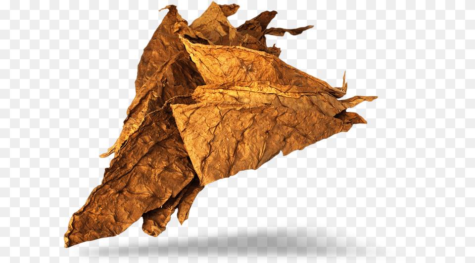 Download Tobacco Image For, Leaf, Plant, Paper Png