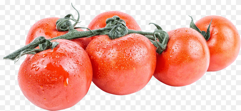 Download Tomato For Free Tomato, Food, Plant, Produce, Vegetable Png Image