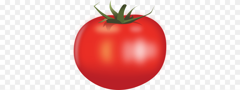 Download Tomato Transparent And Clipart, Food, Plant, Produce, Vegetable Free Png