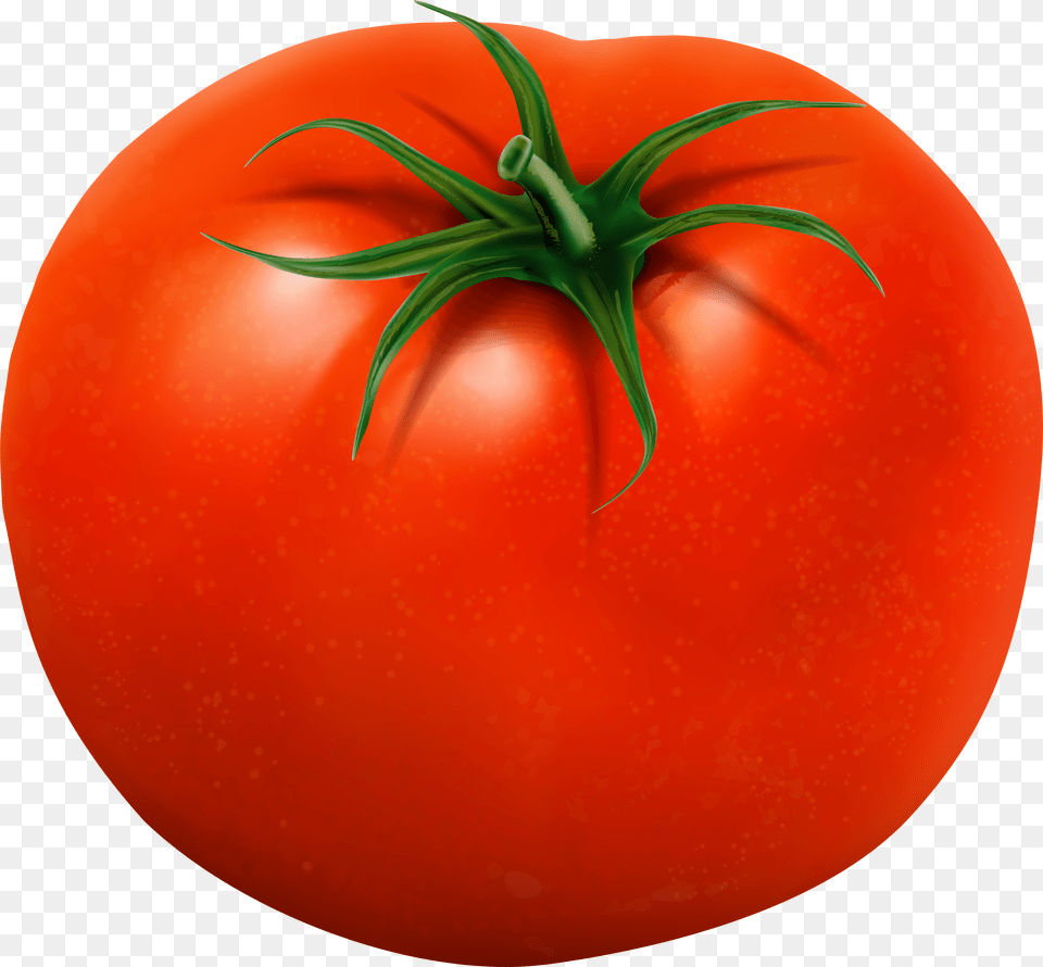 Download Tomato Transparent Images Background Tomate, Pattern, Art, Floral Design, Graphics Png Image