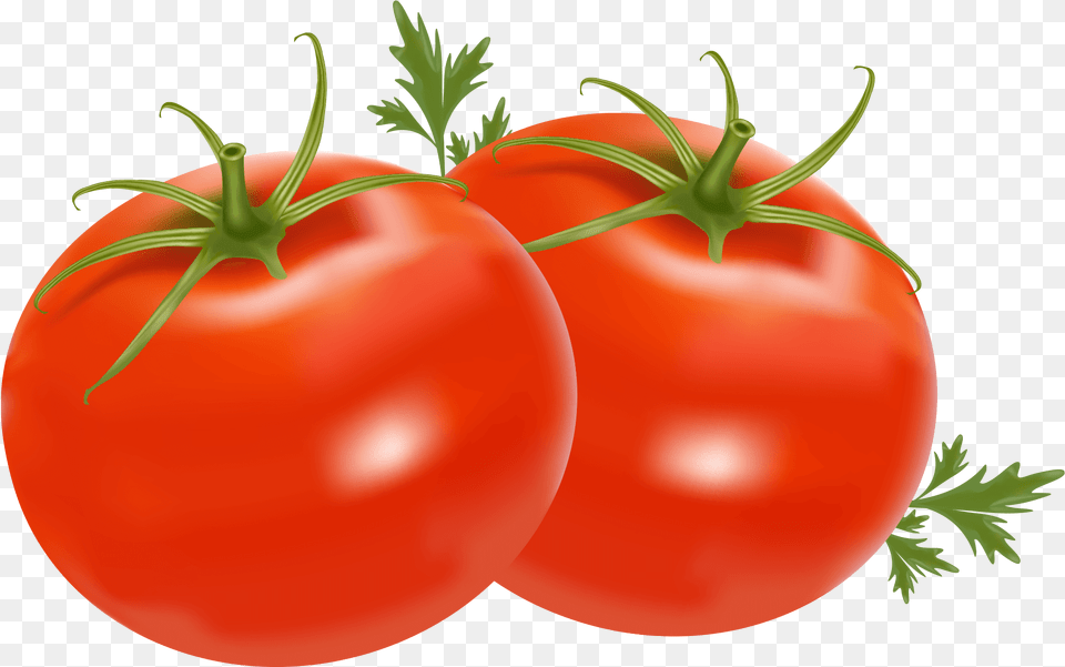 Download Tomatoes With No Background, Food, Plant, Produce, Tomato Free Png