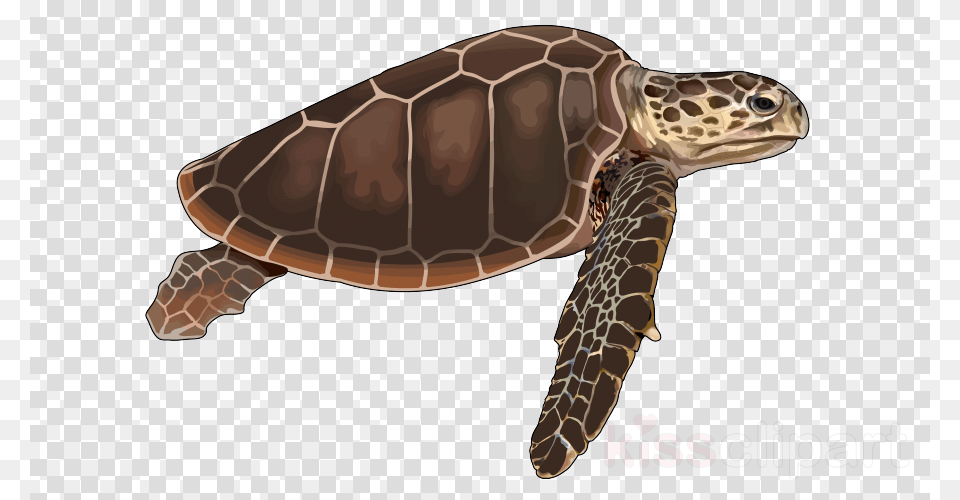 Download Tortugas De Mar Clipart Loggerhead Sea Mickey Mouse Silhouette, Animal, Reptile, Sea Life, Tortoise Png