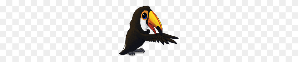 Download Toucan Category Clipart And Icons Freepngclipart, Animal, Beak, Bird, Fish Free Png