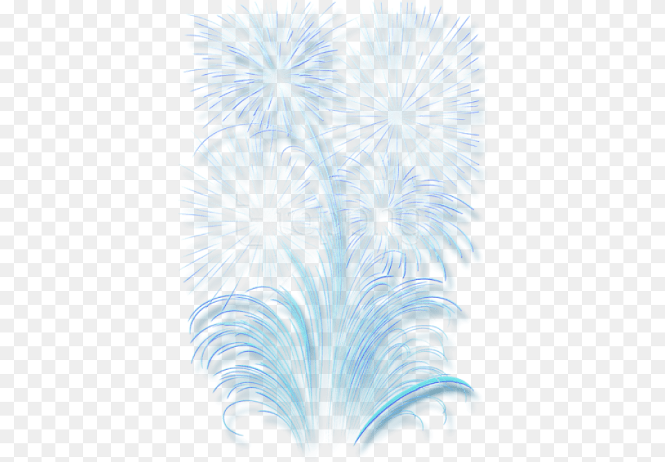 Download Transparent Fireworks Effect Clipart Fireworks Effects, Plant, Light, Pattern Png