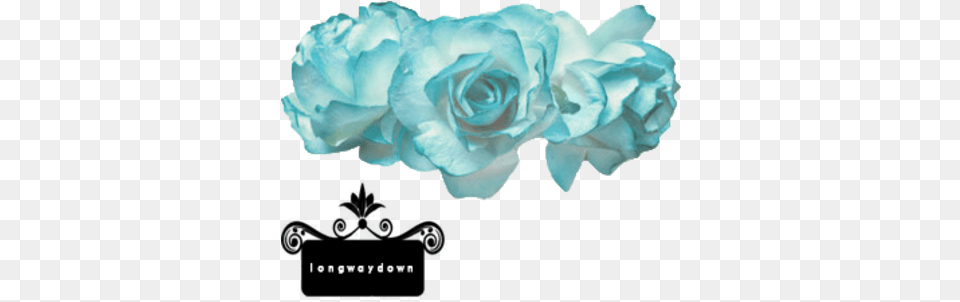 Download Flower Crown Blue Flower Crown Light Blue Flower Crown, Plant, Rose, Turquoise, Petal Free Transparent Png