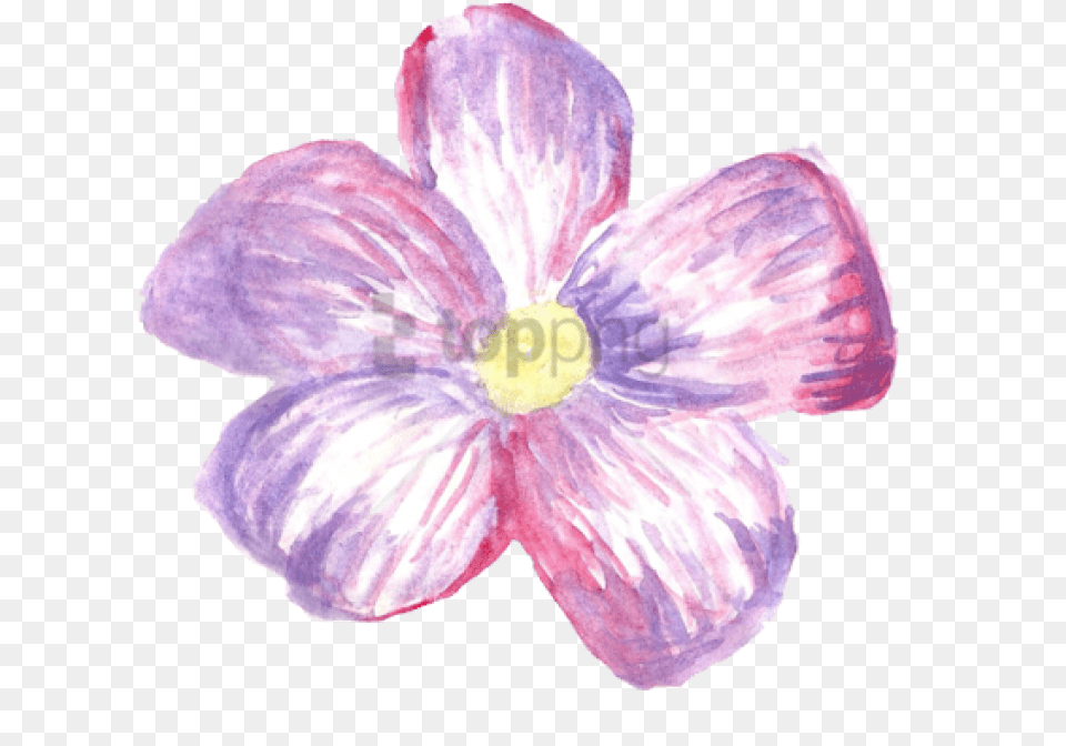 Download Transparent Flower Crown Tumblr Watercolor Flowers, Petal, Plant, Anemone, Hibiscus Free Png
