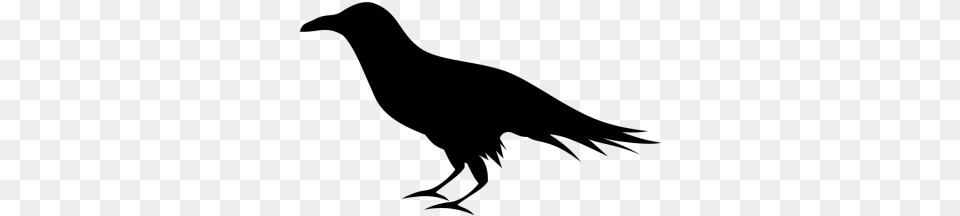 Download Transparent Image And Hd Raven Clipart, Gray Png