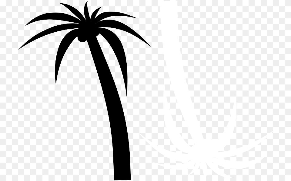 Download Transparent My Editcollage Palm Tree Clip Art Palm Tree Clip Art, Flower, Plant, Floral Design, Graphics Png Image