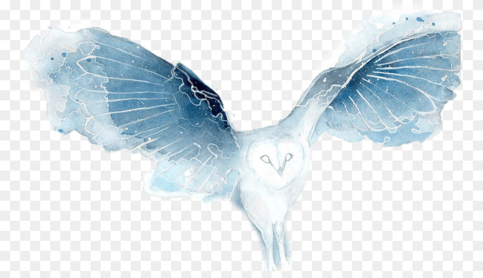 Download Transparent Owl Flying Watercolor Galaxy Owl Galaxy Owl Watercolor, Animal, Bird, Accessories Png