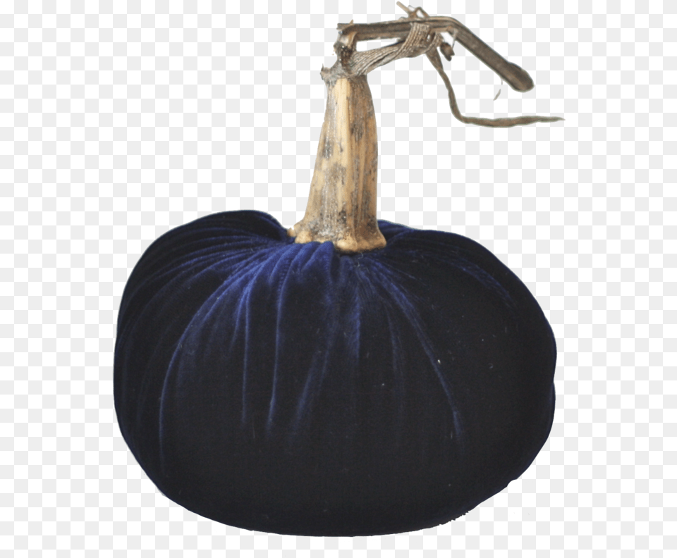 Download Transparent Real Pumpkin Still Life Photography, Food, Plant, Produce, Vegetable Png