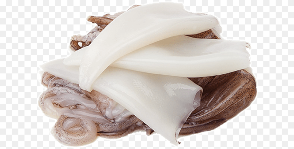 Download Transparent Squid Grasa Animal Chocolate, Adult, Female, Person, Woman Png Image