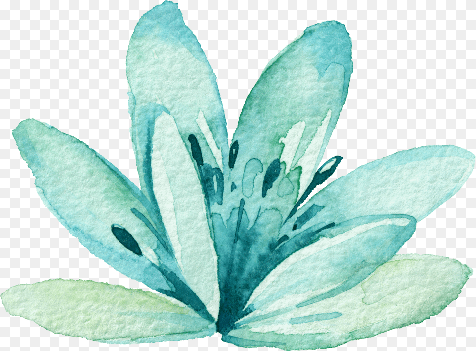 Download Watercolor Mint Blue Watercolor Flower Leaf, Petal, Plant, Crystal Free Transparent Png