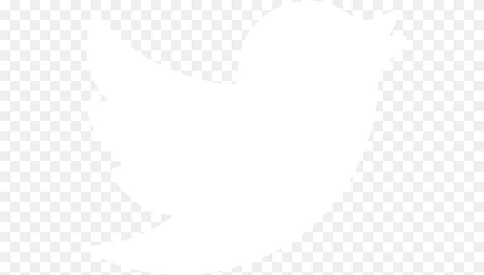 Download Transparent White Twitter Twitter Logo White, Silhouette, Animal, Fish, Sea Life Free Png