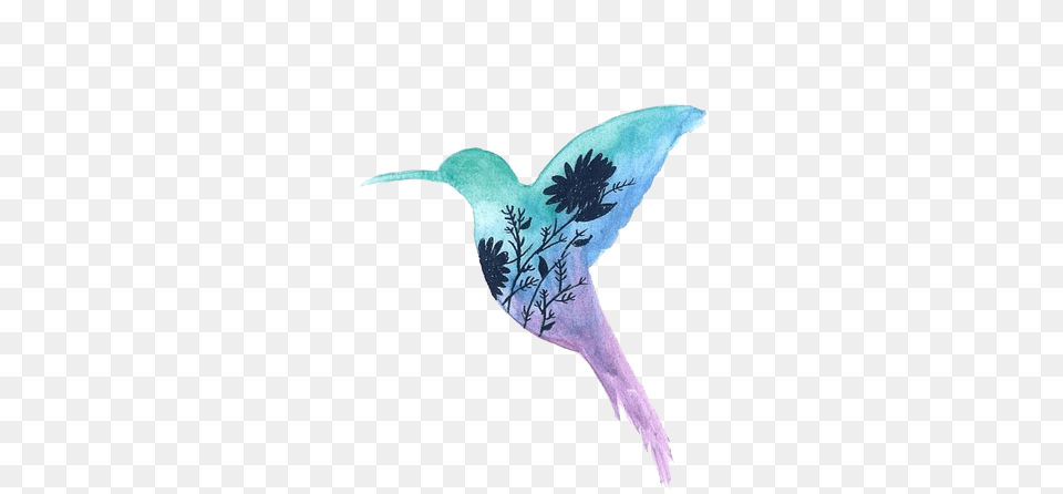 Transparentswatercolor Animals Tumblr Transparent Hummingbird And Flowers, Animal, Beak, Bird, Fish Free Png Download