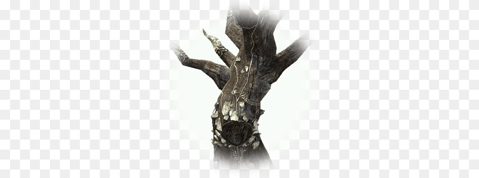 Download Treant Old Tree Crystal, Plant, Tree Trunk, Wood, Plate Png Image