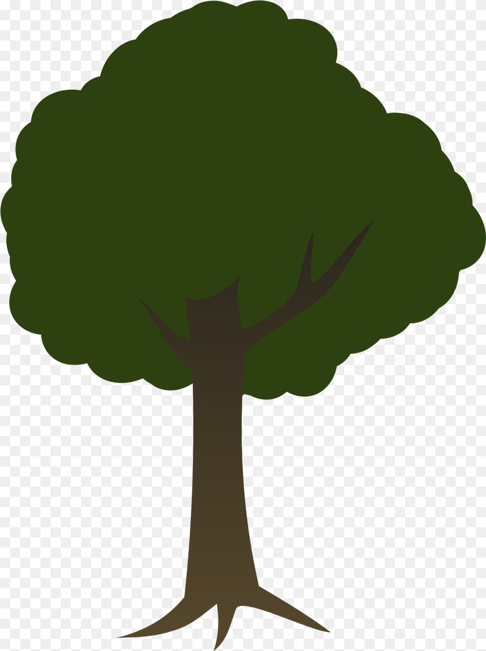 Download Tree 2d Tree Background Tree, Plant, Vegetation, Person Free Transparent Png