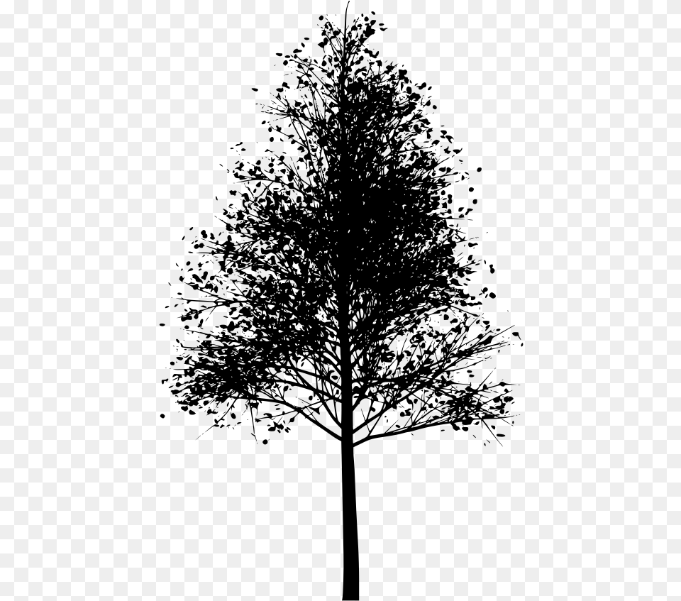 Download Tree, Gray Free Transparent Png