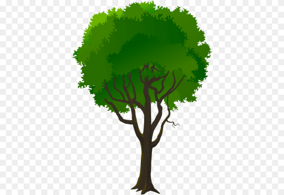 Tree Decorative Transparent Images, Plant, Vegetation, Art, Land Free Png Download